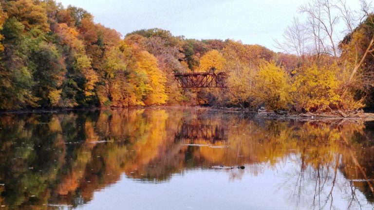 Haslett Handyman Services in Grand Ledge, MI