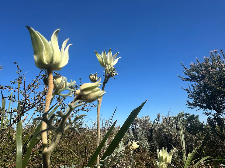 Happiness can be found in many places 