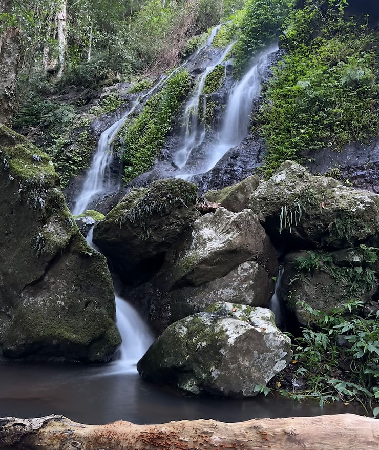 Cascade Falls, Spicers Scenic Rim Trail