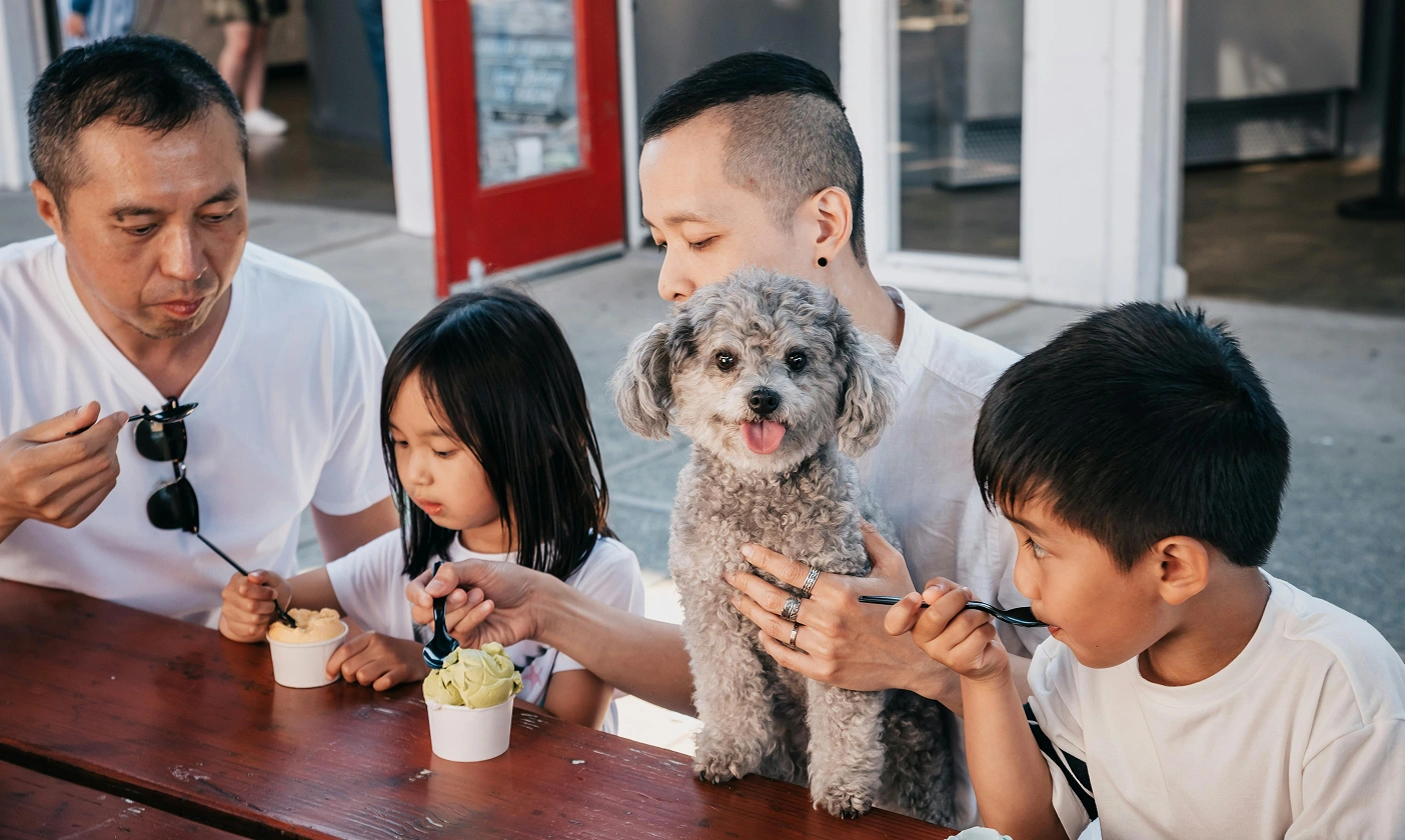 Essential Tools Every Pet Owner Should Have at Home