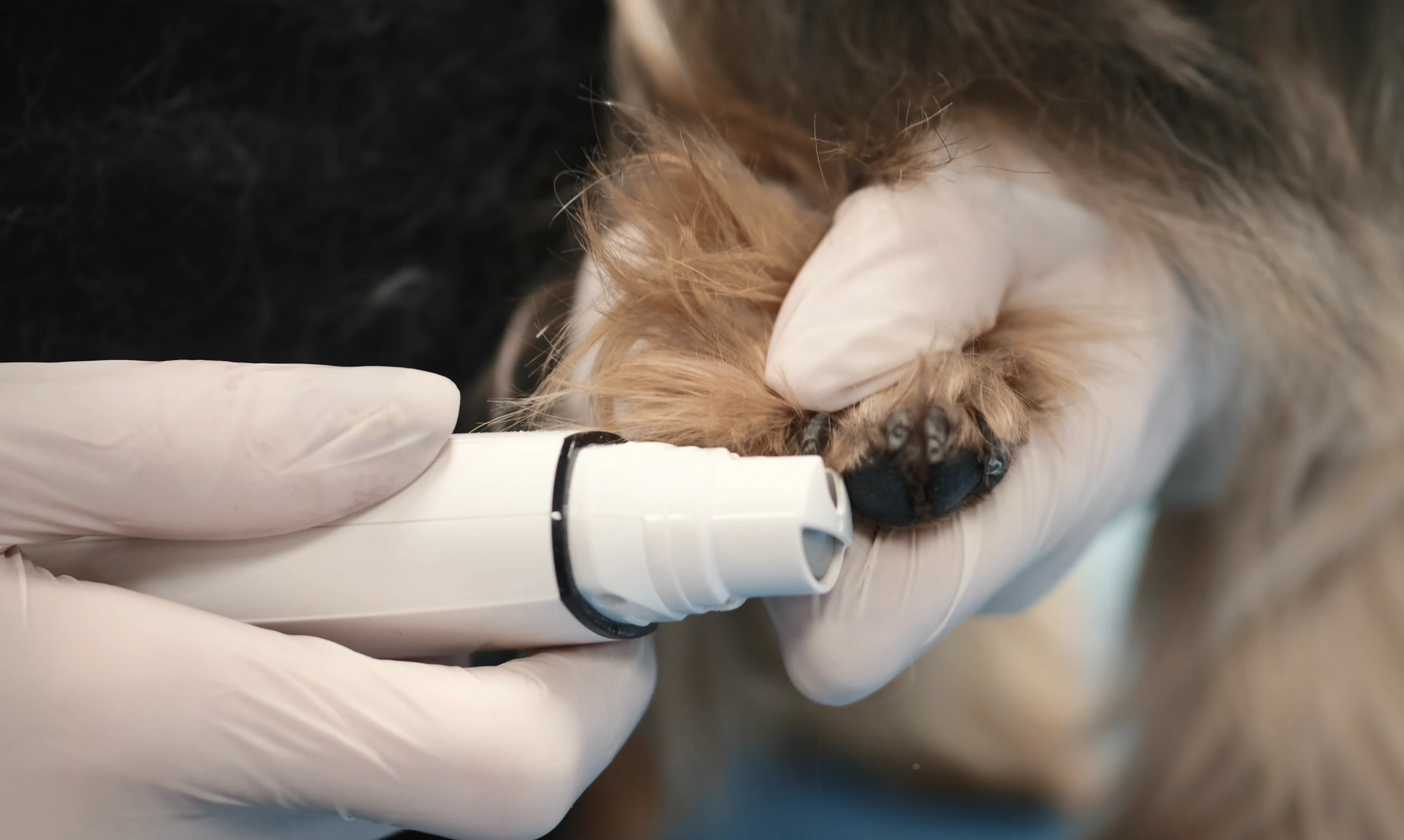 Skill Development & Training