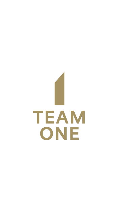 Team One logo