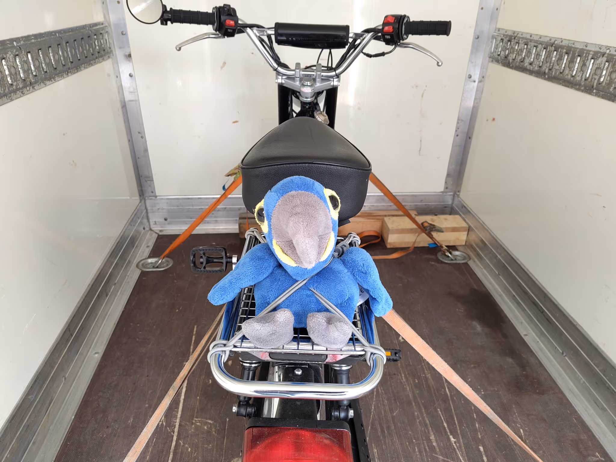 Ein blauer Plüschvogel sitzt auf dem Gepäckträger eines gesicherten Mopeds, Puch, Sachs oder Tomos, in einem Transportwagen.
