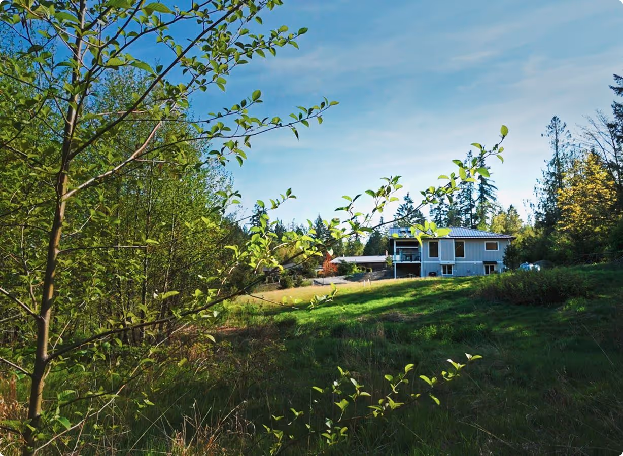 A modern house surrounded by trees and greenery under a clear blue sky.