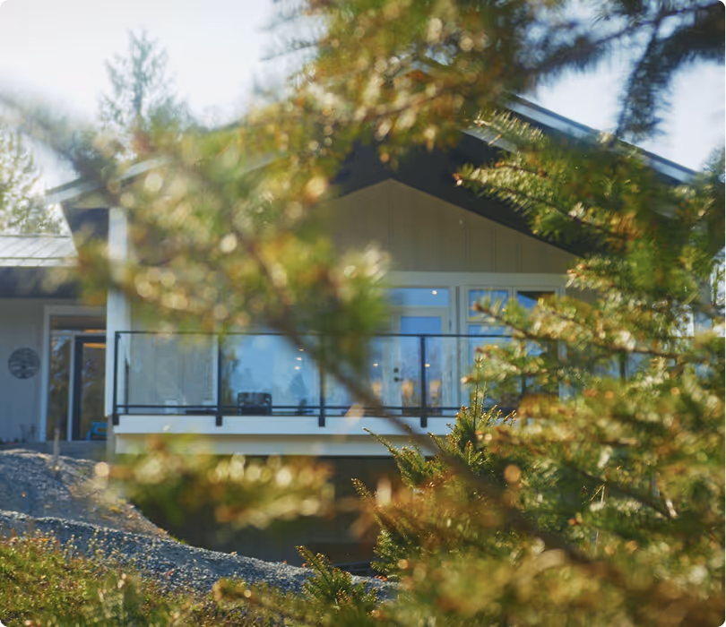 Modern house balcony with glass railing partially obscured by evergreen tree branches.