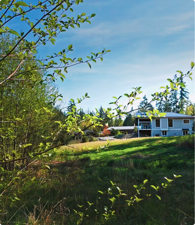 Green branches with leaves framing a grassy yard and a gray house under a clear blue sky.