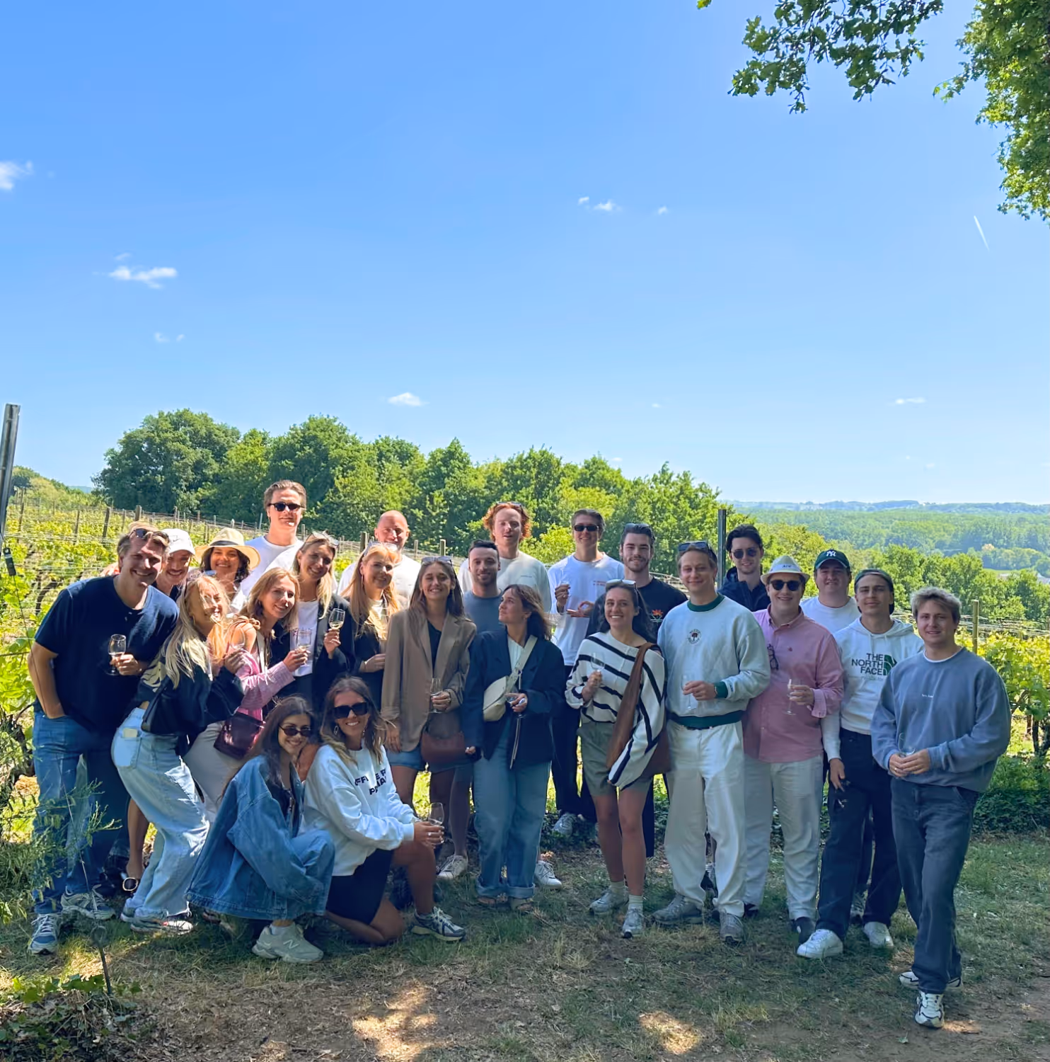 Group of young adults outdoors holding wine glasses in a vineyard under a clear blue sky.