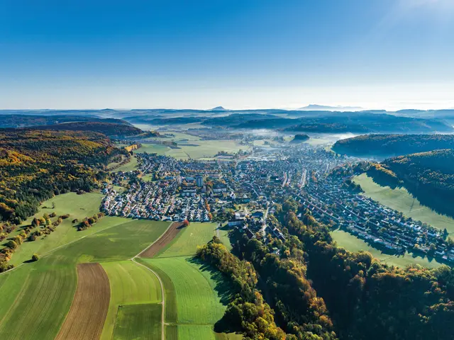 Mit Schnee bedecktes Dach mit Solarzellen an sonnigem Wintertag neben schneebedeckten Tannenbäumen.