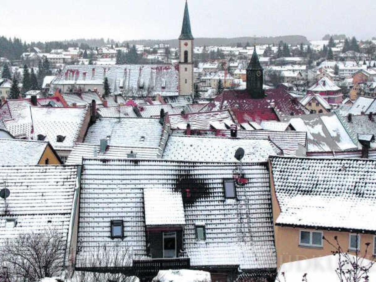 Mit Schnee bedecktes Dach mit Solarzellen an sonnigem Wintertag neben schneebedeckten Tannenbäumen.