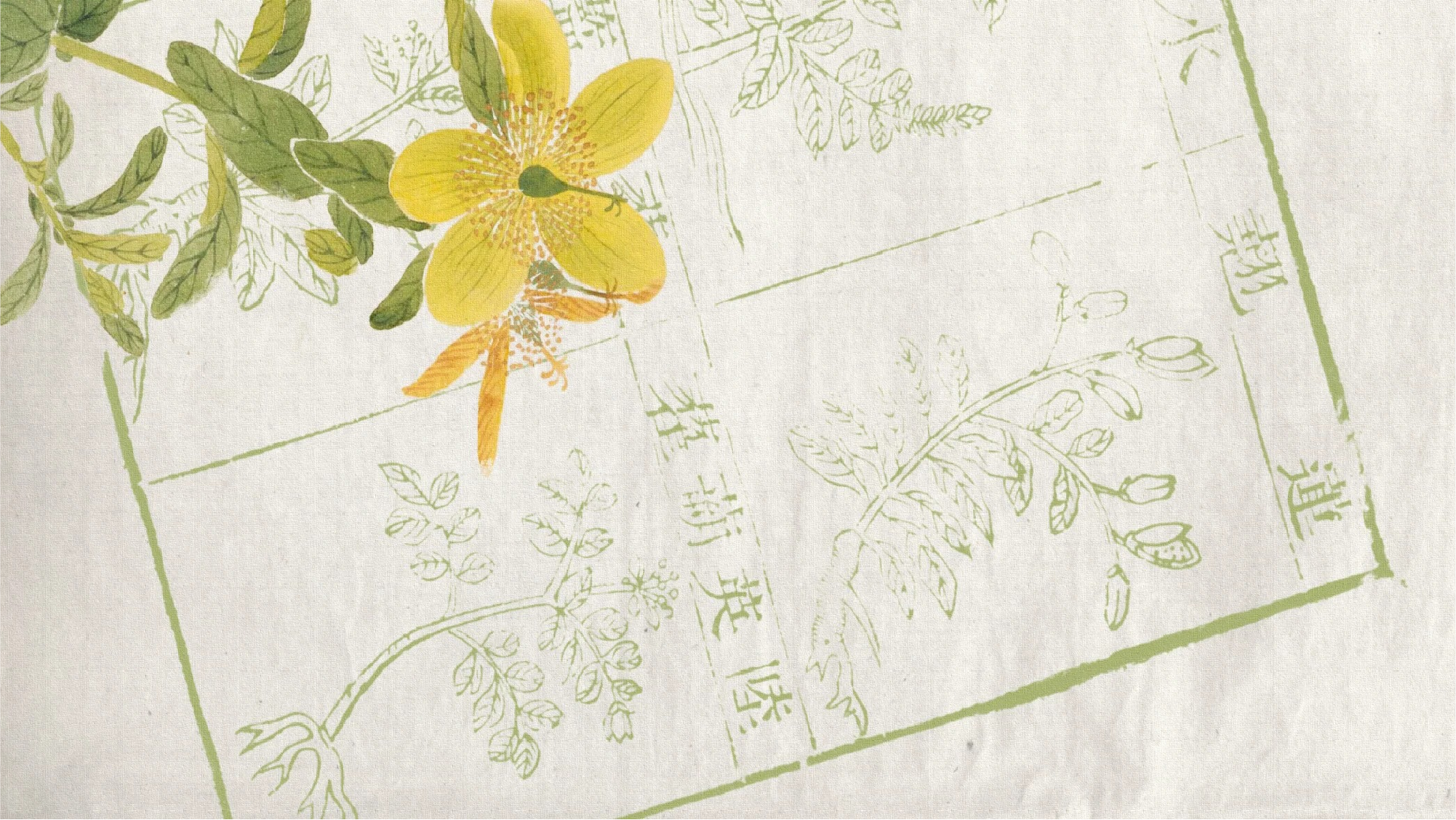  Transforming an Ancient Healing Legend into a Modern Soothing Innovation