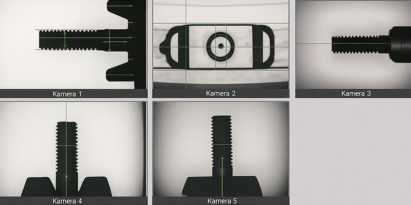 optische sortierung 100% Kontrolle