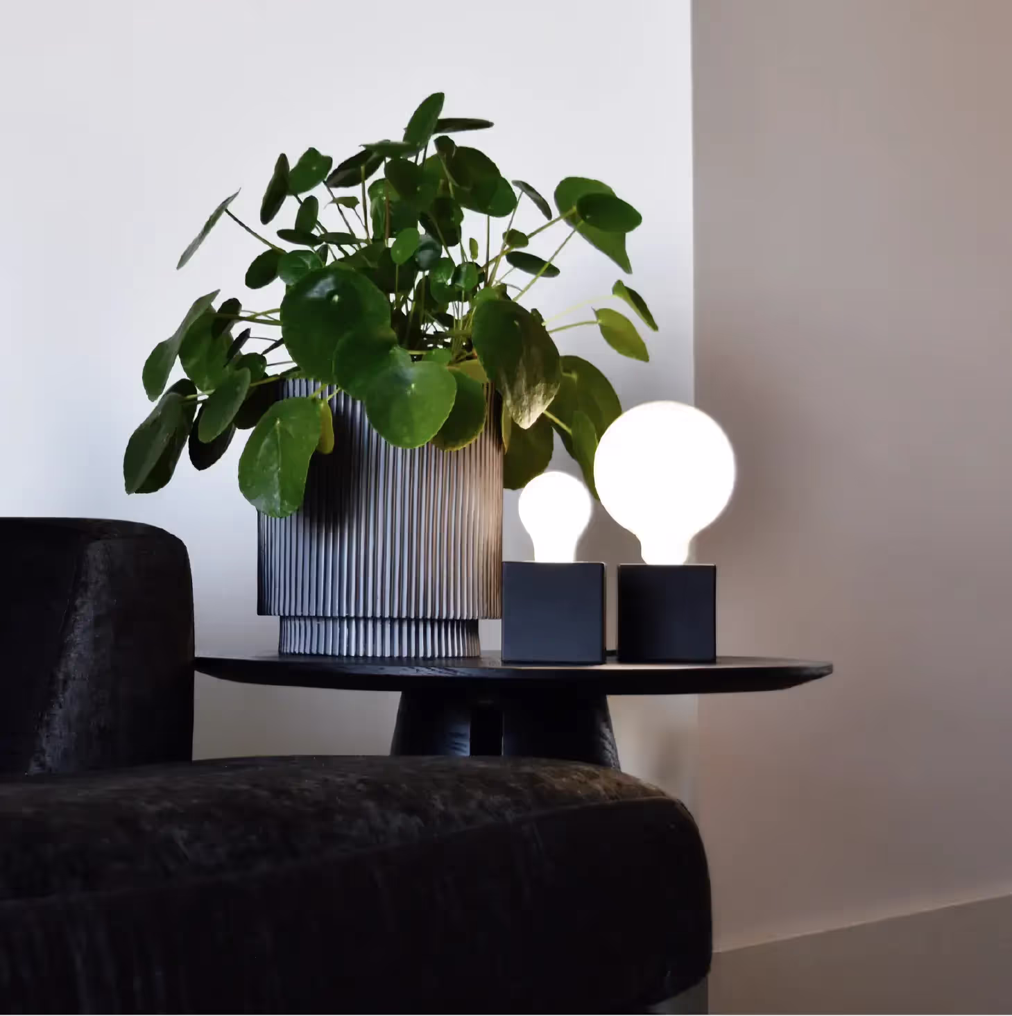 Softline