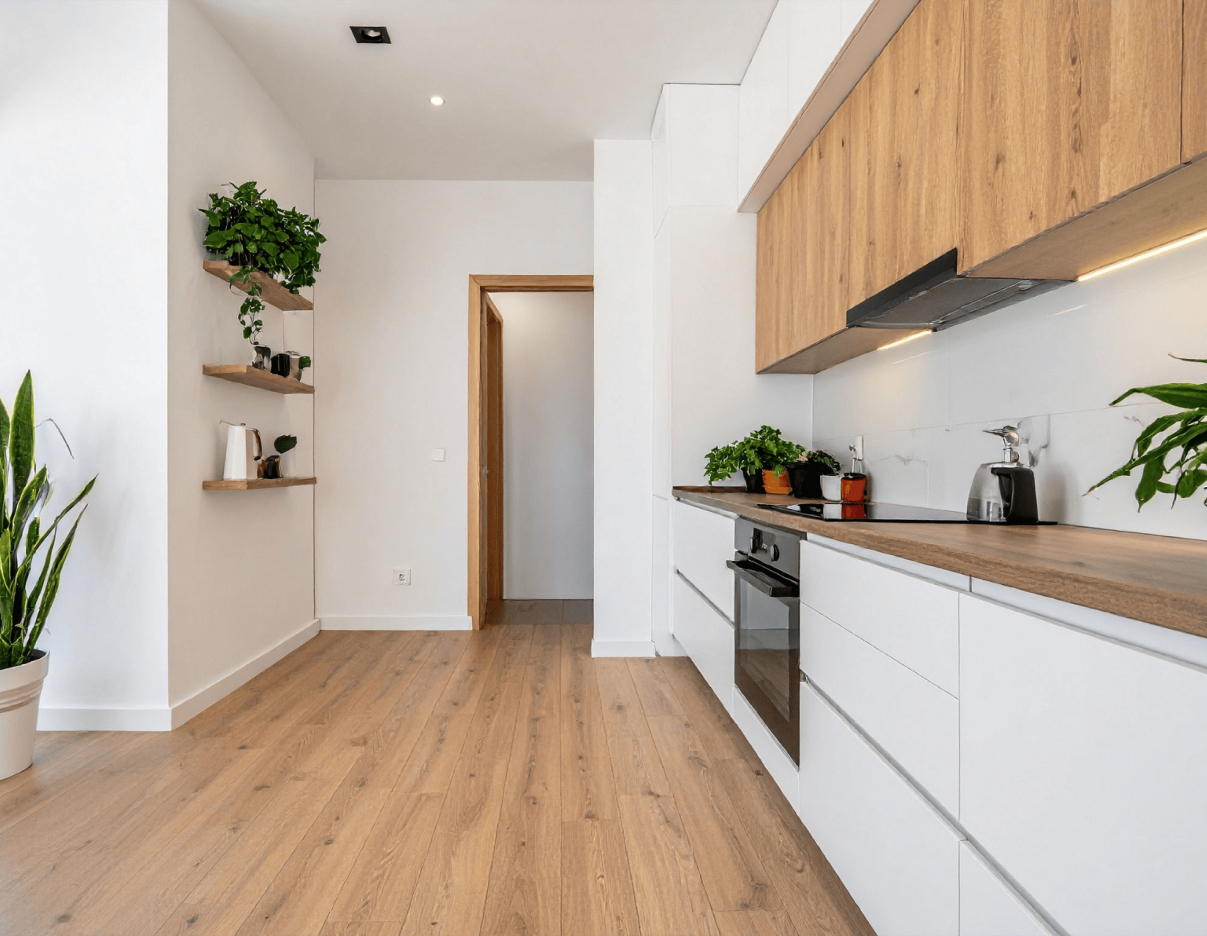 Clean modern hallway with wooden flooring and plants