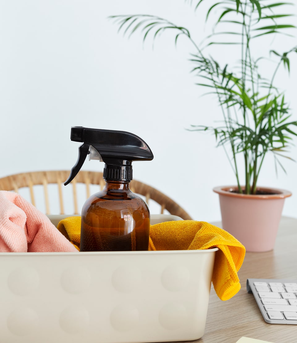 Natural cleaning products on a table with plants