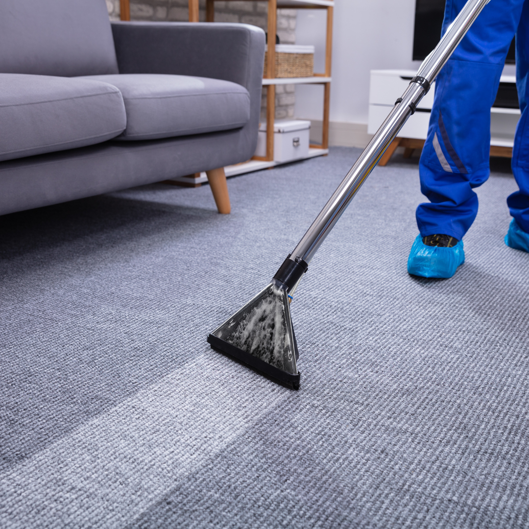 Professional cleaner performing hot water extraction on a carpet in a vacation rental living room.