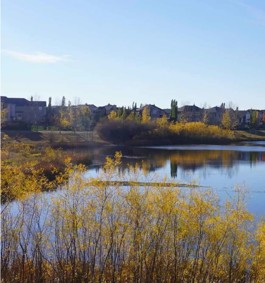 Lake with autumn trees and houses in the background.