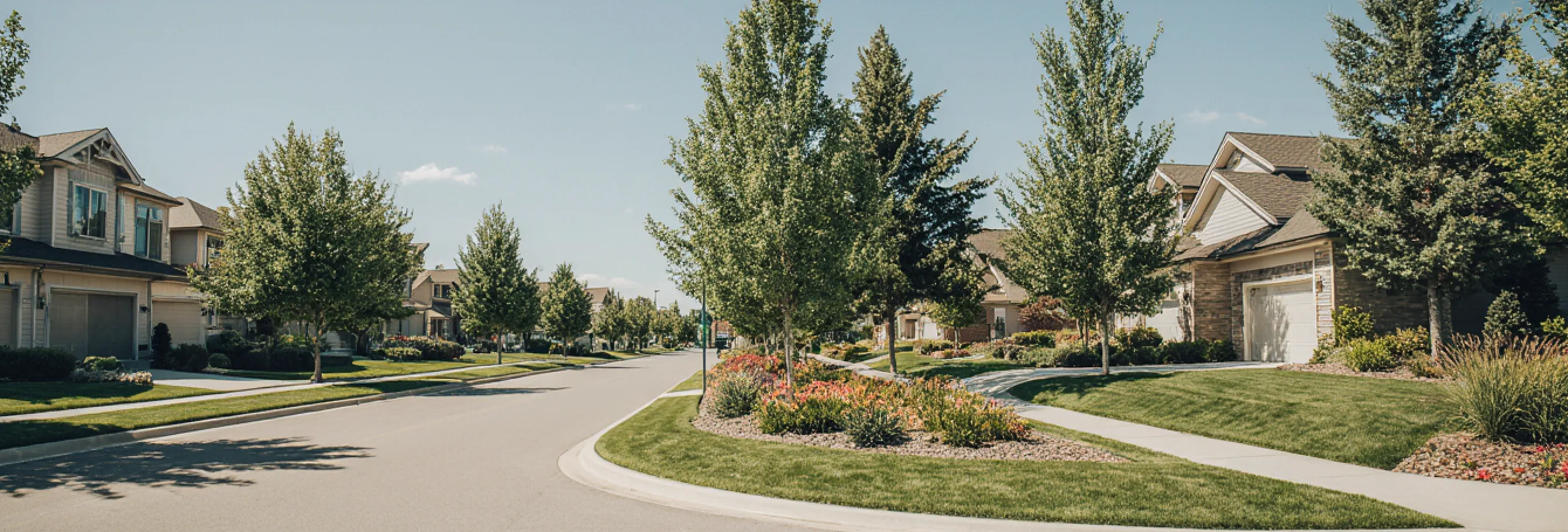 Suburban neighborhood street with houses and trees.