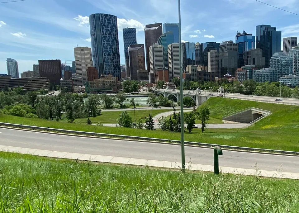City skyline with skyscrapers and green park in foreground.
