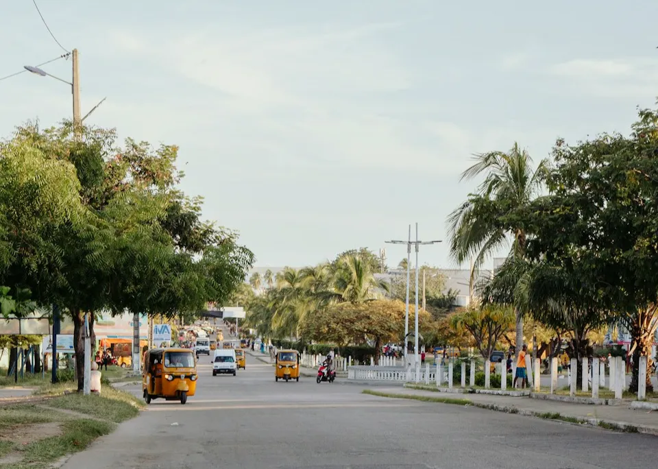 Street scene with trees, vehicles, and people in tropical town.