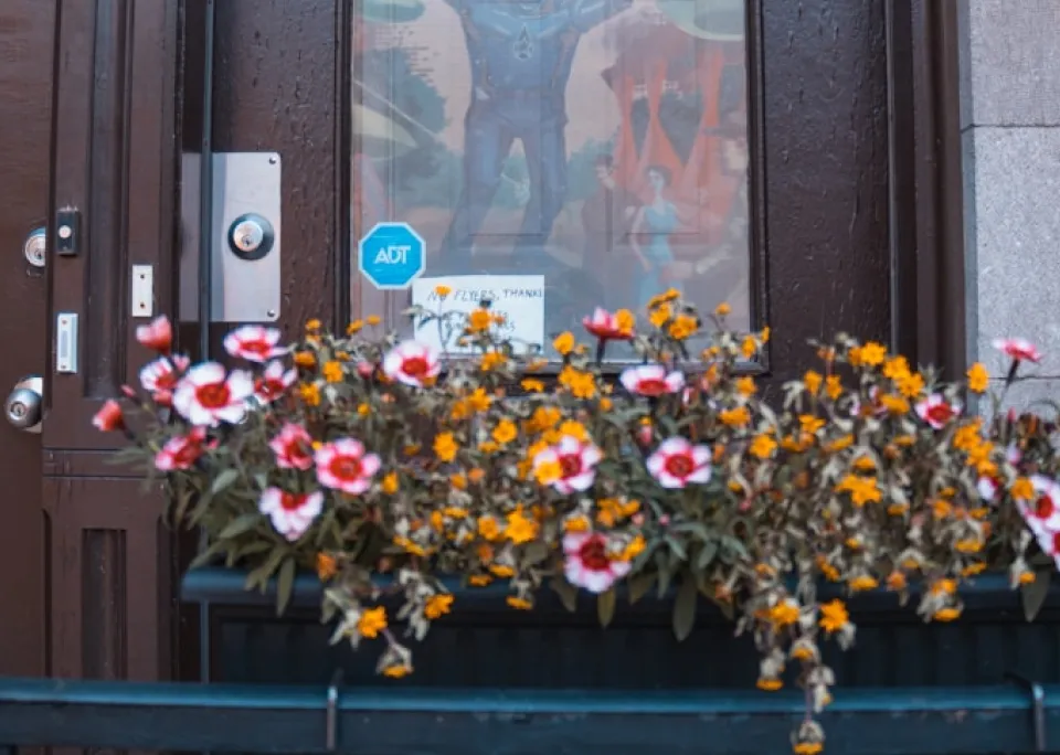 Colorful flowers in planter outside building window.