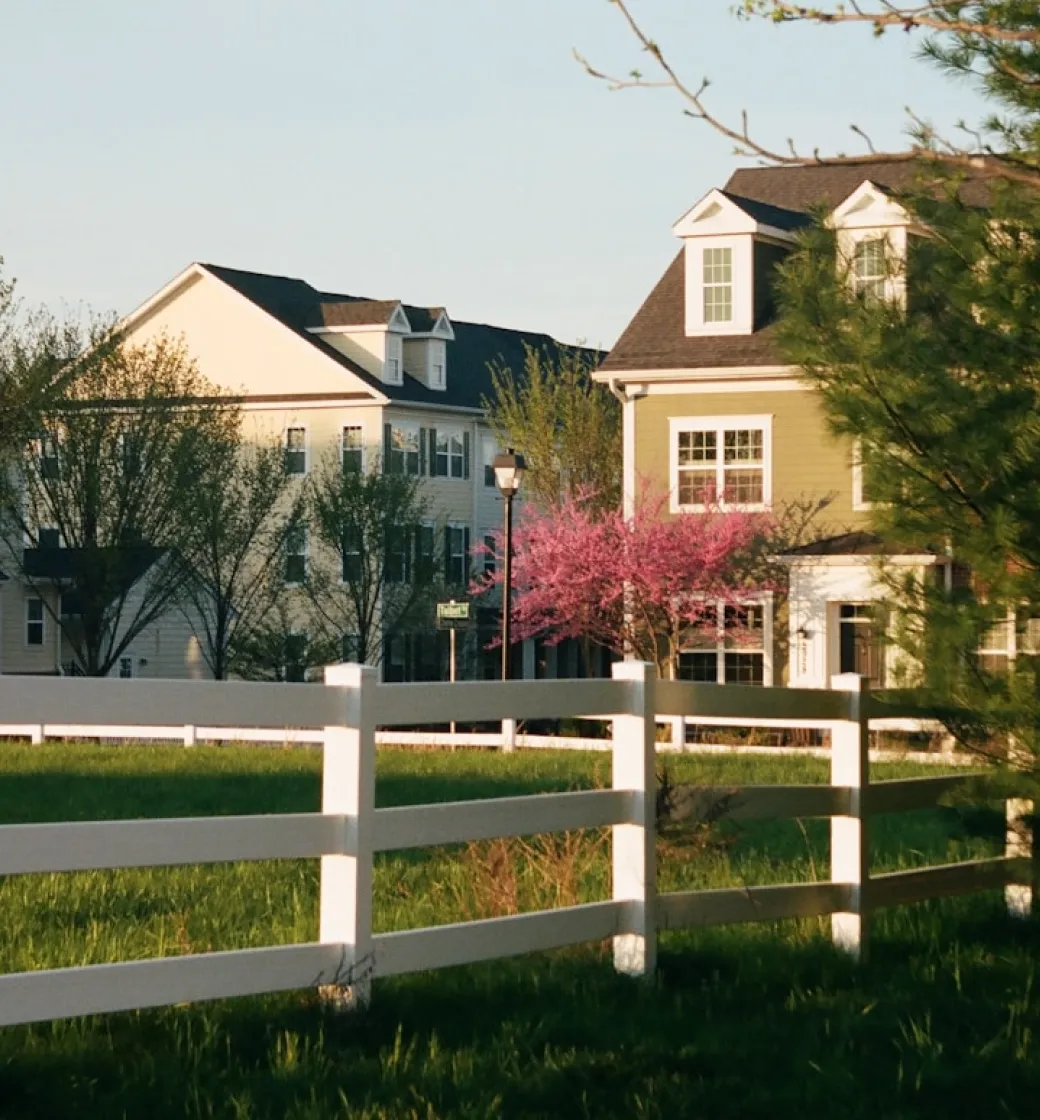 Suburban homes with white fence and blooming tree.