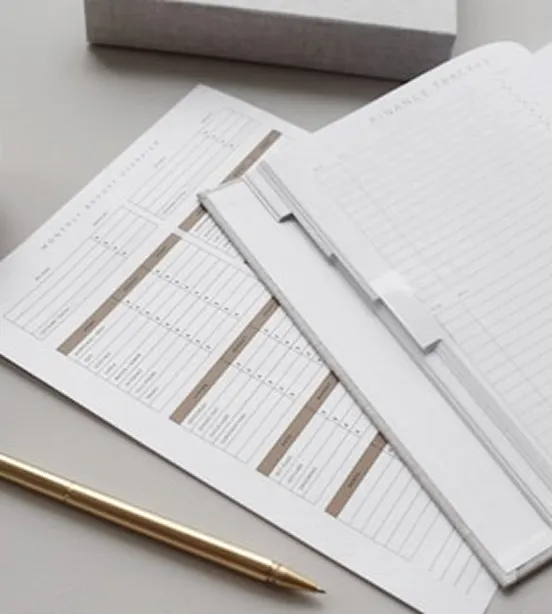 Financial planning sheets with pen on desk.