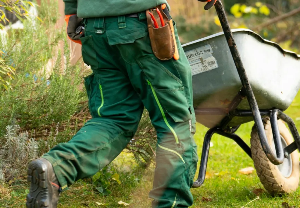 Gardener pushing a wheelbarrow on grass.