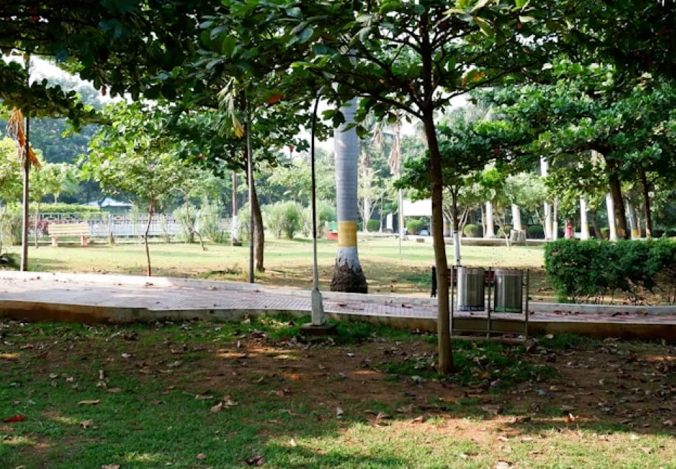Green park with trees, a walkway, and benches.
