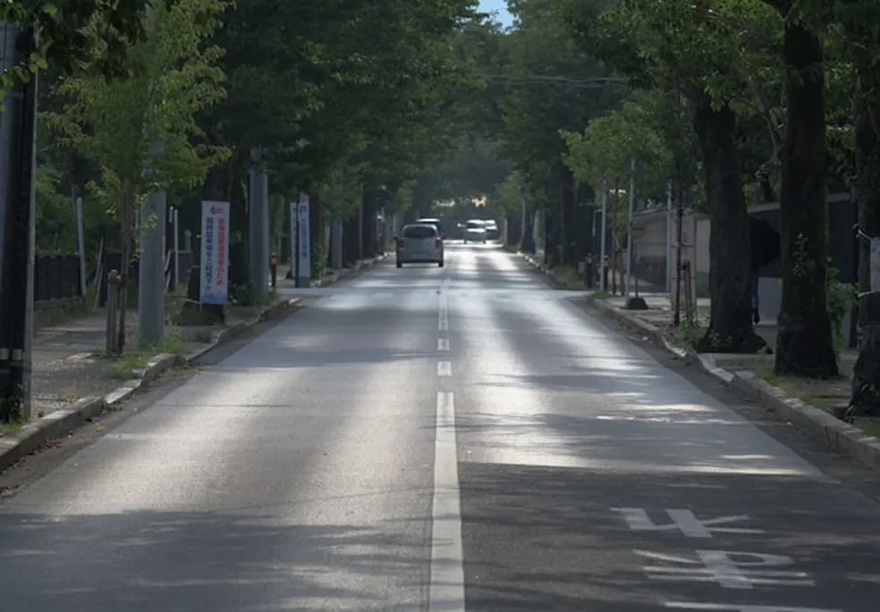 Empty road with trees on both sides and a car in the distance.