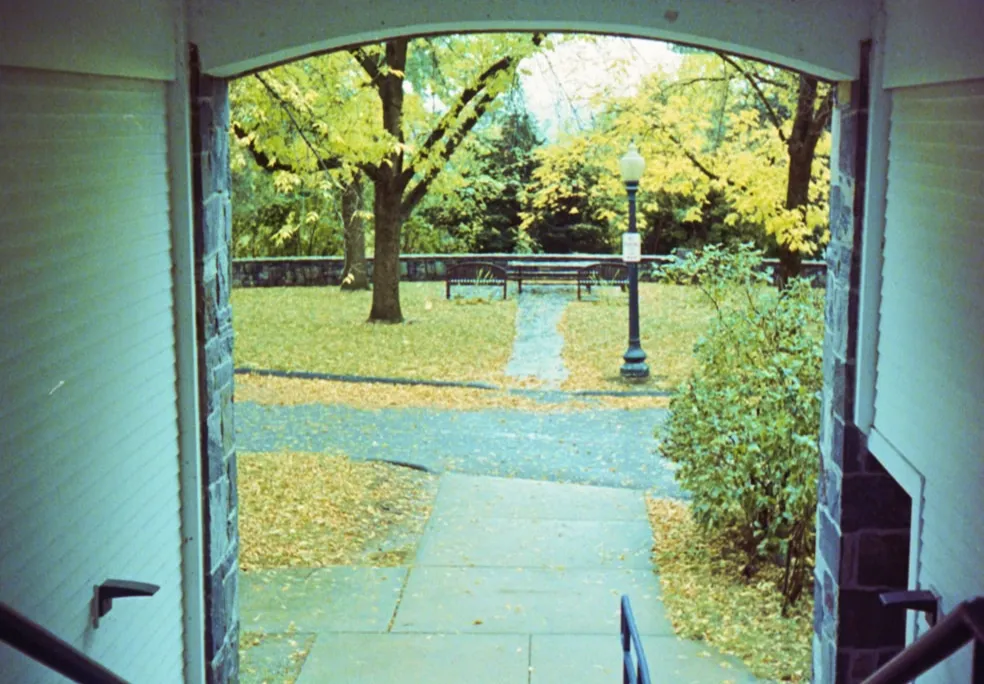 Pathway leading to a park with trees and benches.