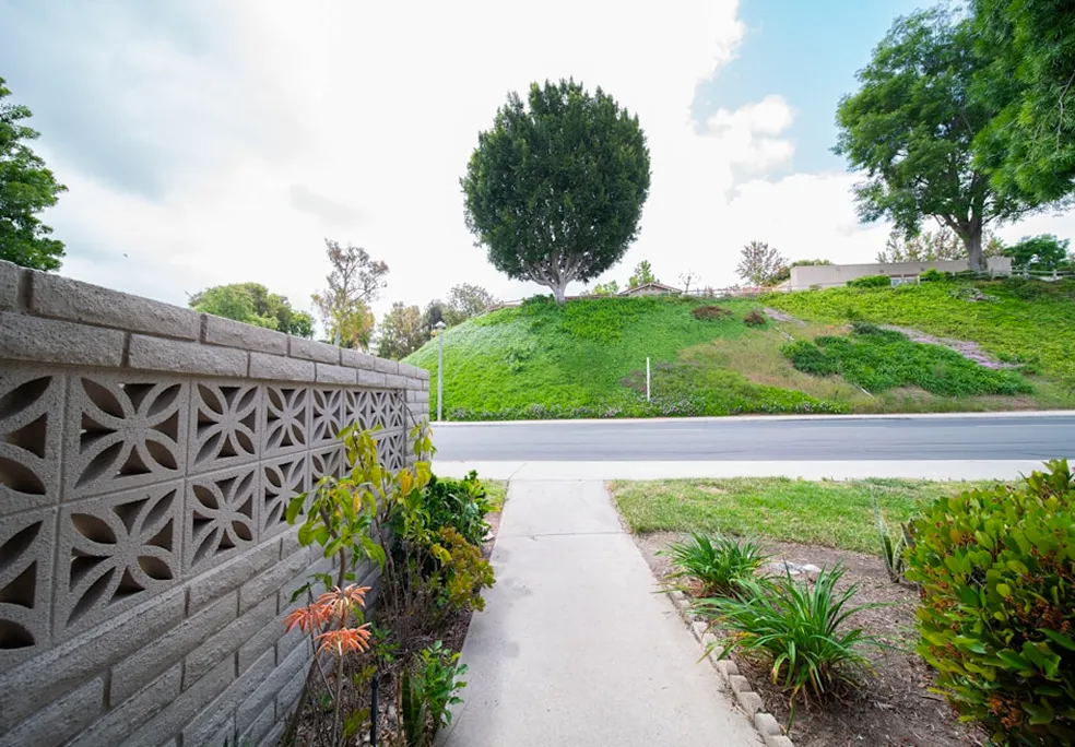 Sidewalk view with a tree on a grassy hill across the road.