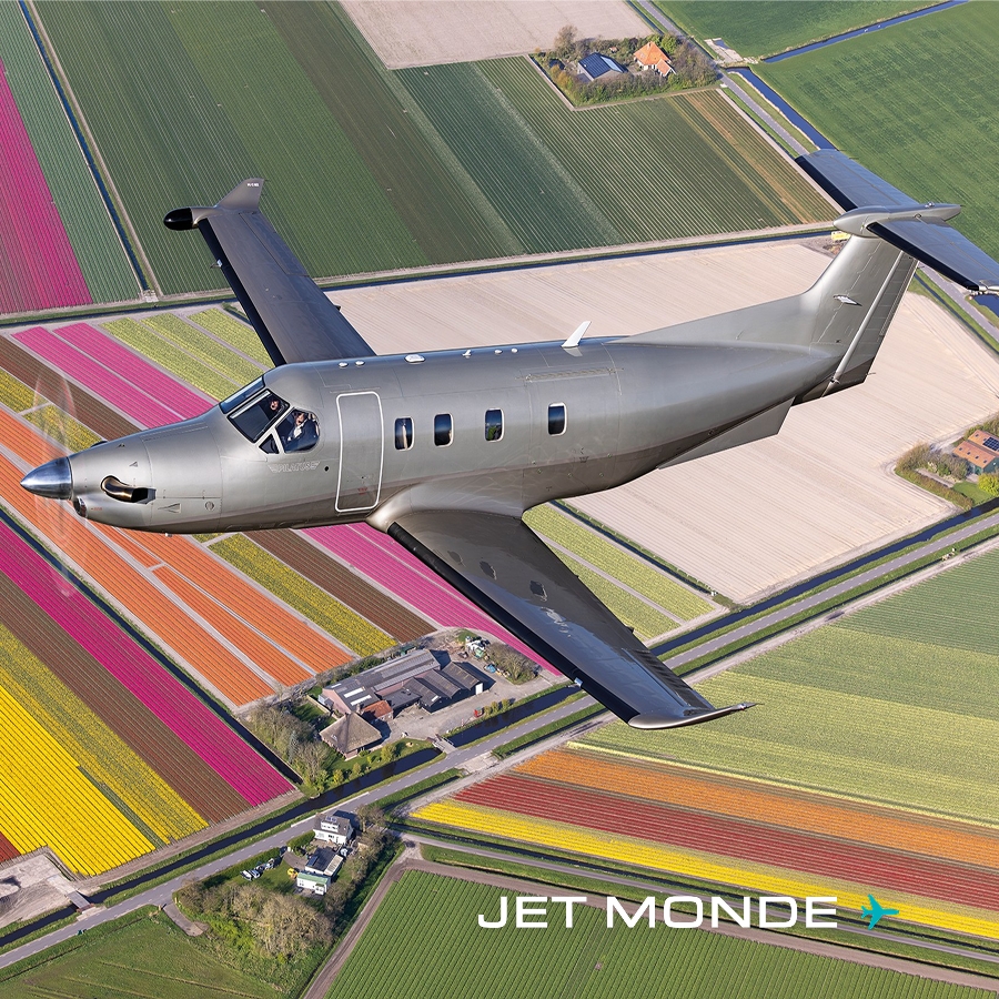 Turbopropulseur polyvalent Pilatus PC-12 en vol au-dessus de champs colorés pour l'article de présentation.
