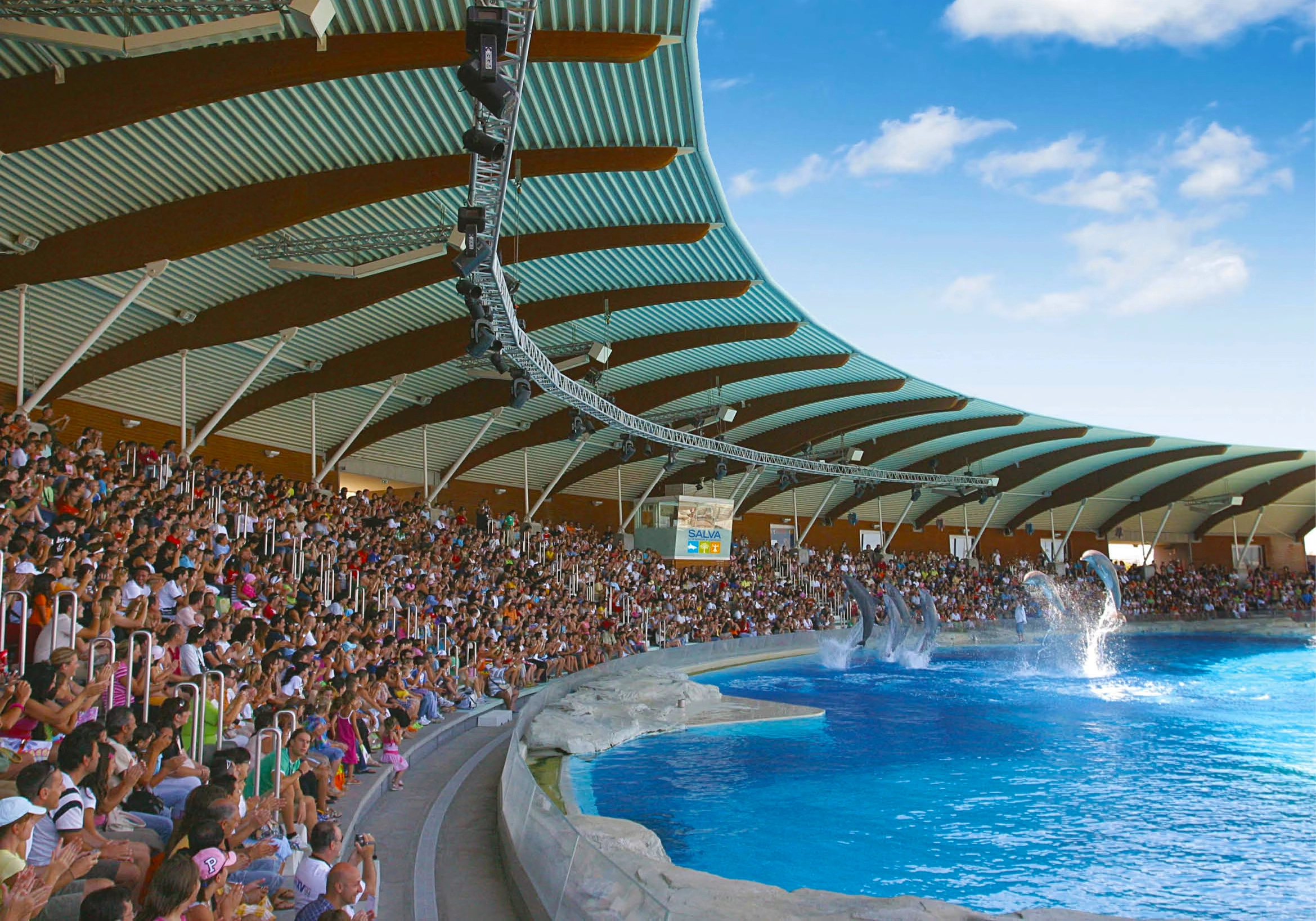 Spettacolo di delfini che saltano fuori dall'acqua davanti a una folla numerosa in uno spettacolo all'aperto con tetto coperto.