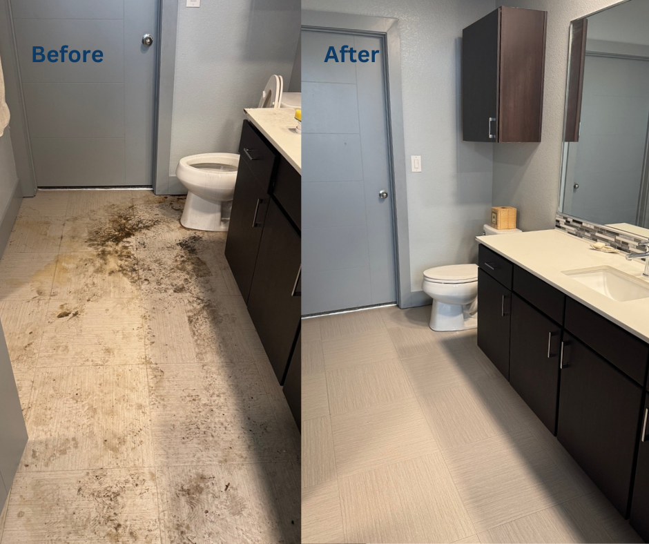 top rated cleaning services near me