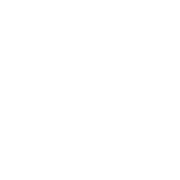 The New York Times logo.