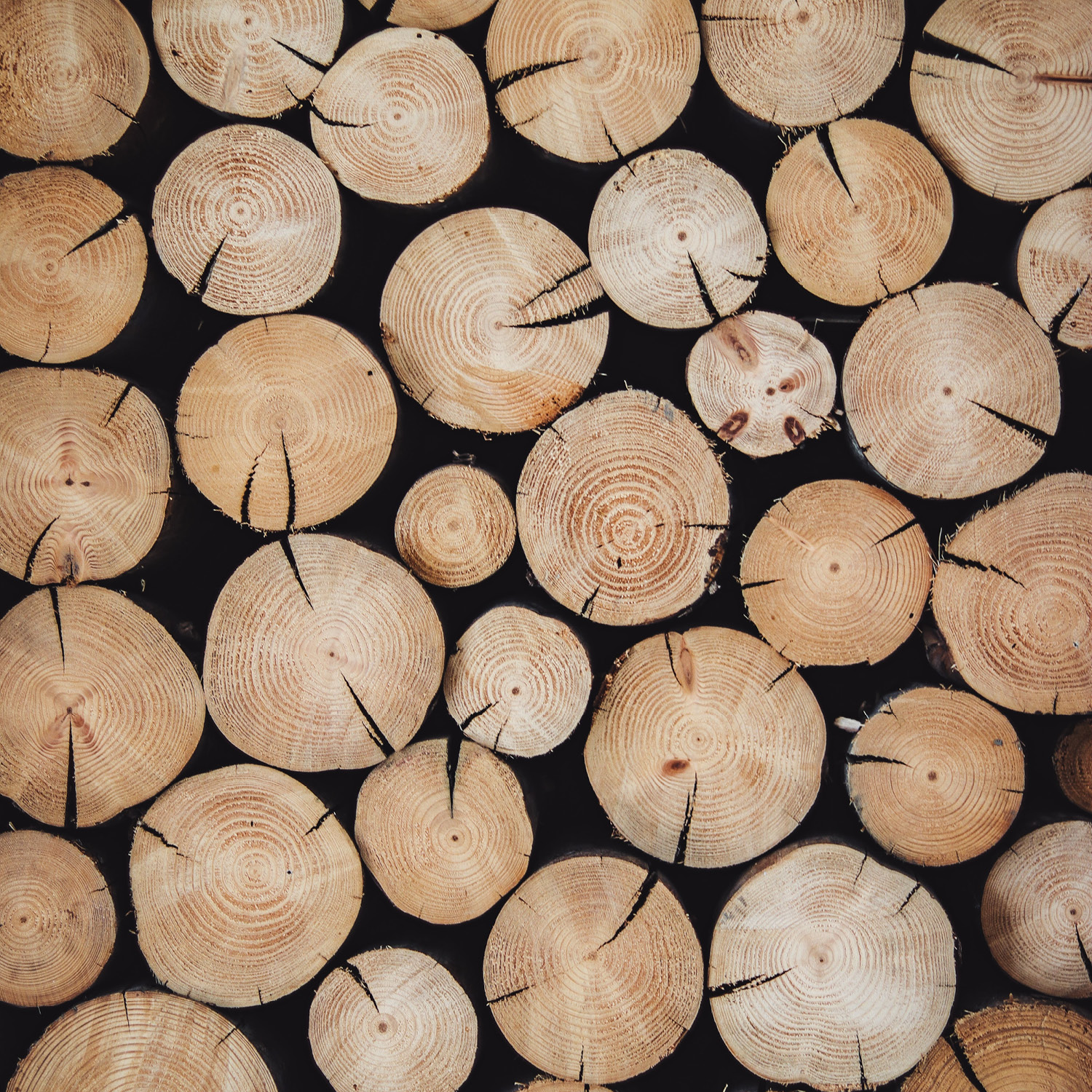 [background image] inside of classroom (for a ceramic studio)