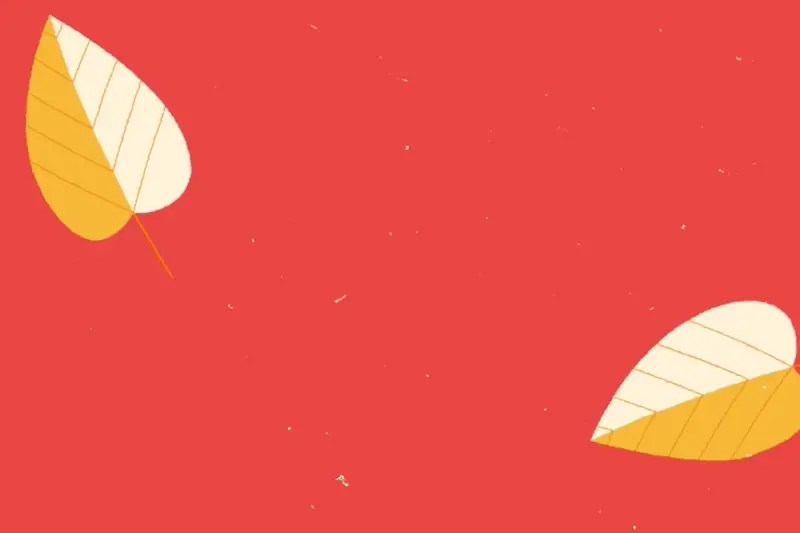 Illustrated frame with autumn leaves gently falling.