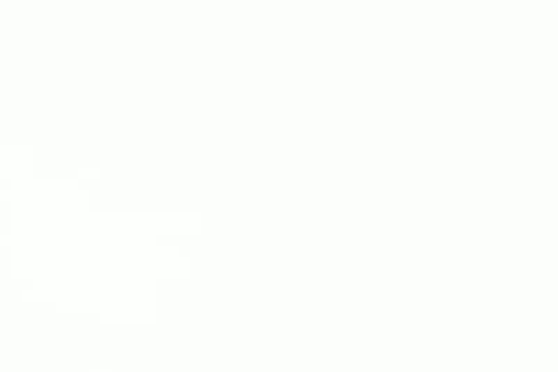 Animated logo for Real Bar.