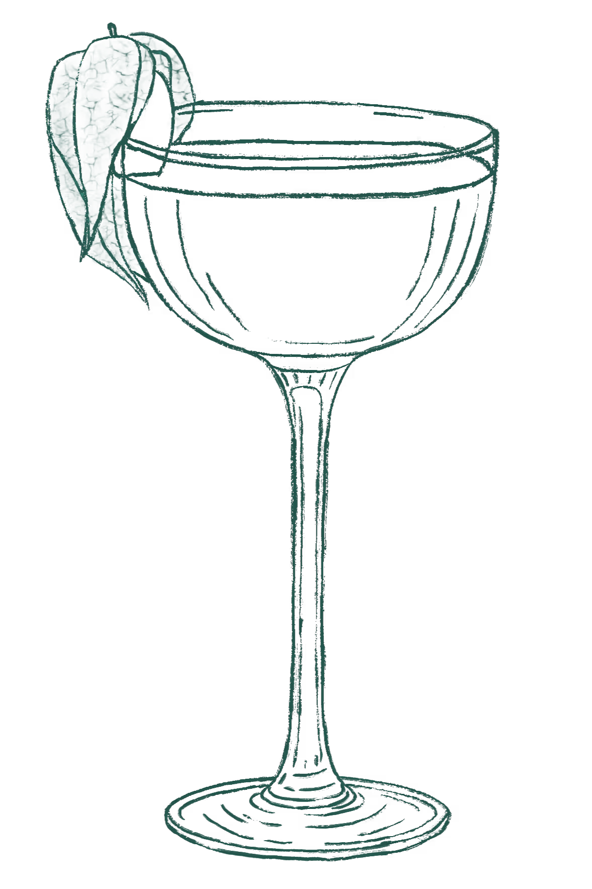 Hand-drawn champagne coupe glass with a leafy garnish on the rim.