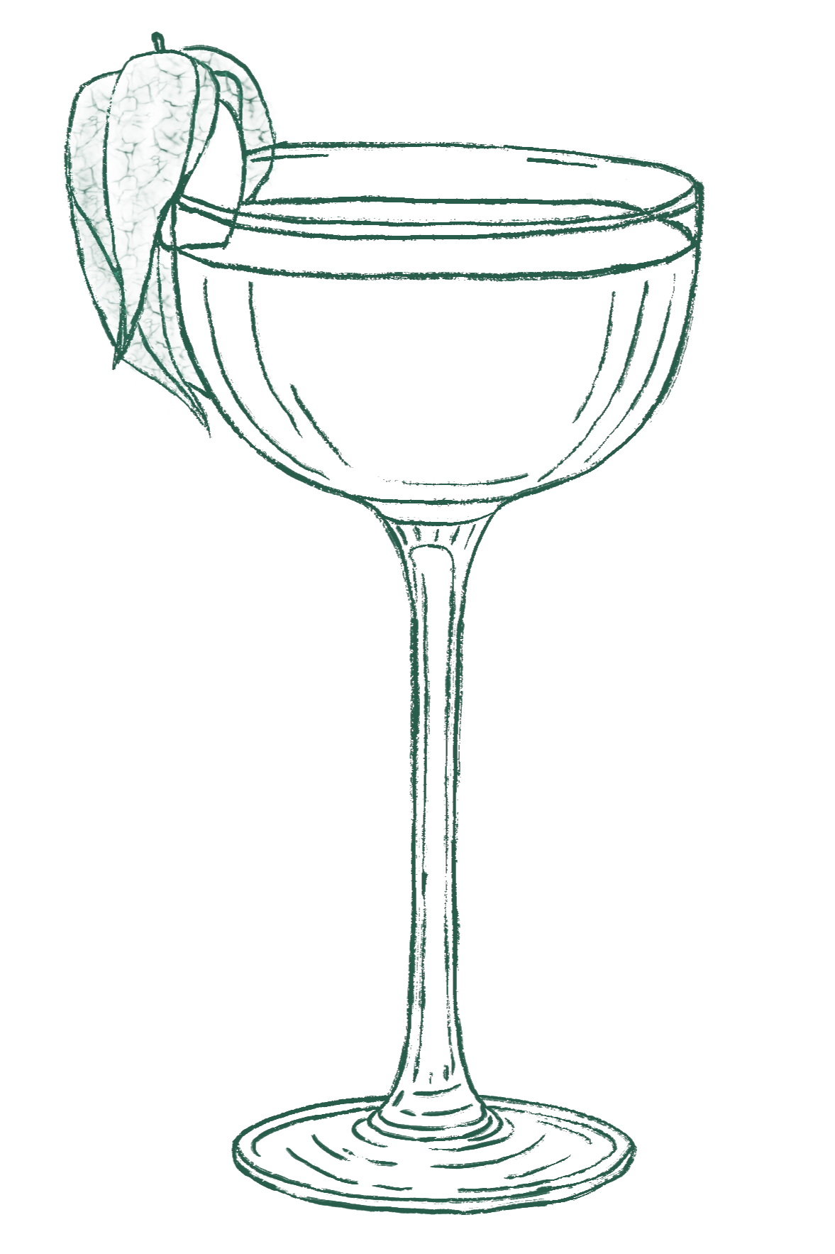 Hand-drawn champagne coupe glass with a leafy garnish on the rim.