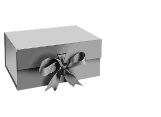Closed gift box with a ribbon bow on the front.