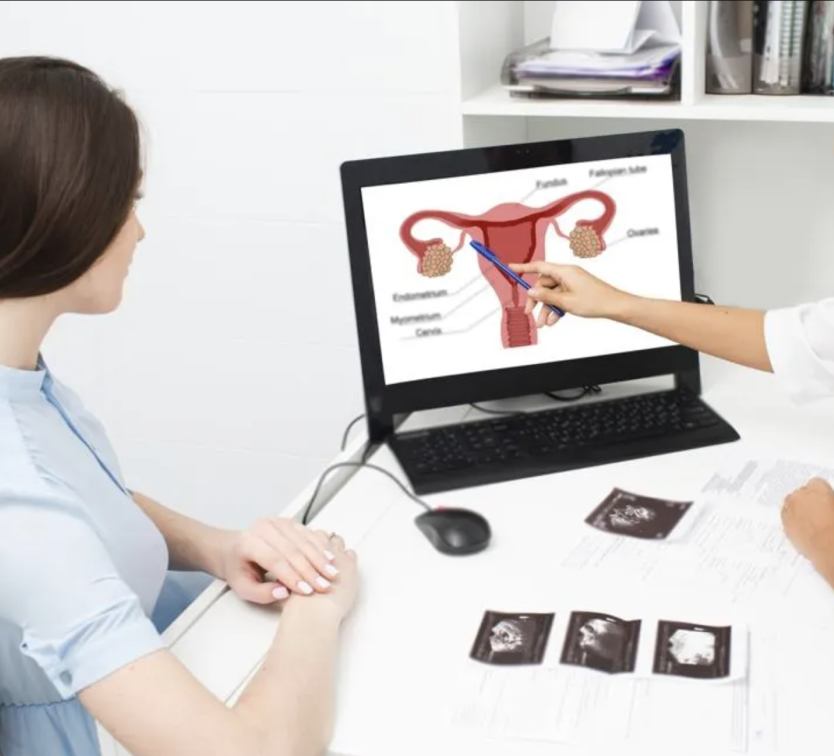 Woman sitting at desk, looking at a laptop screen, where another person is pointing to an anatomical image of the uterus.