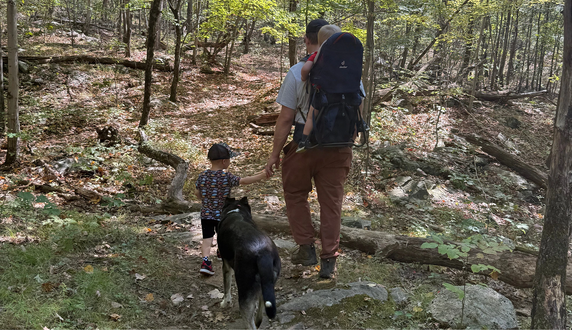 A man and a child walking in the woods with a dog.