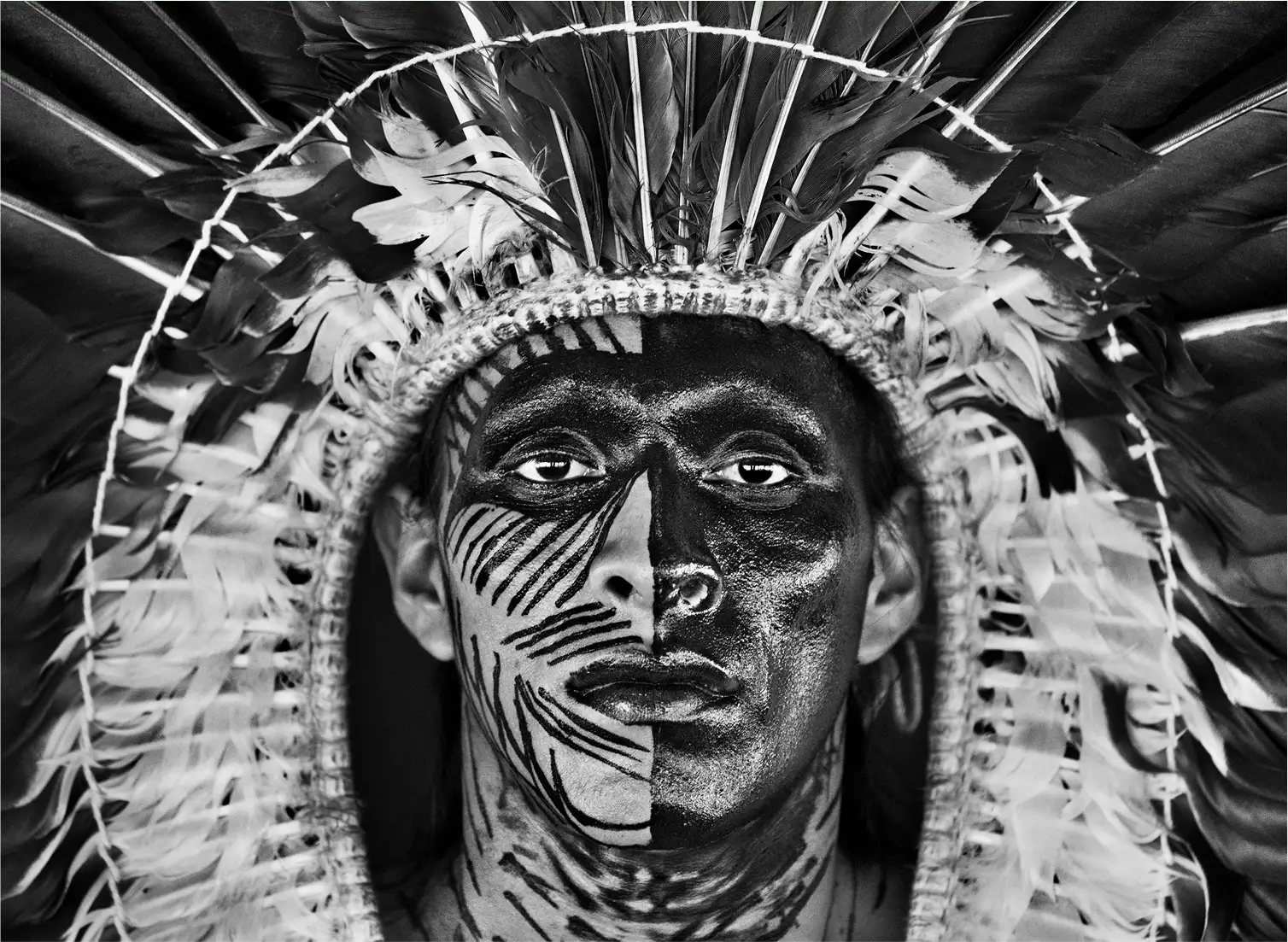 portrait of a persom