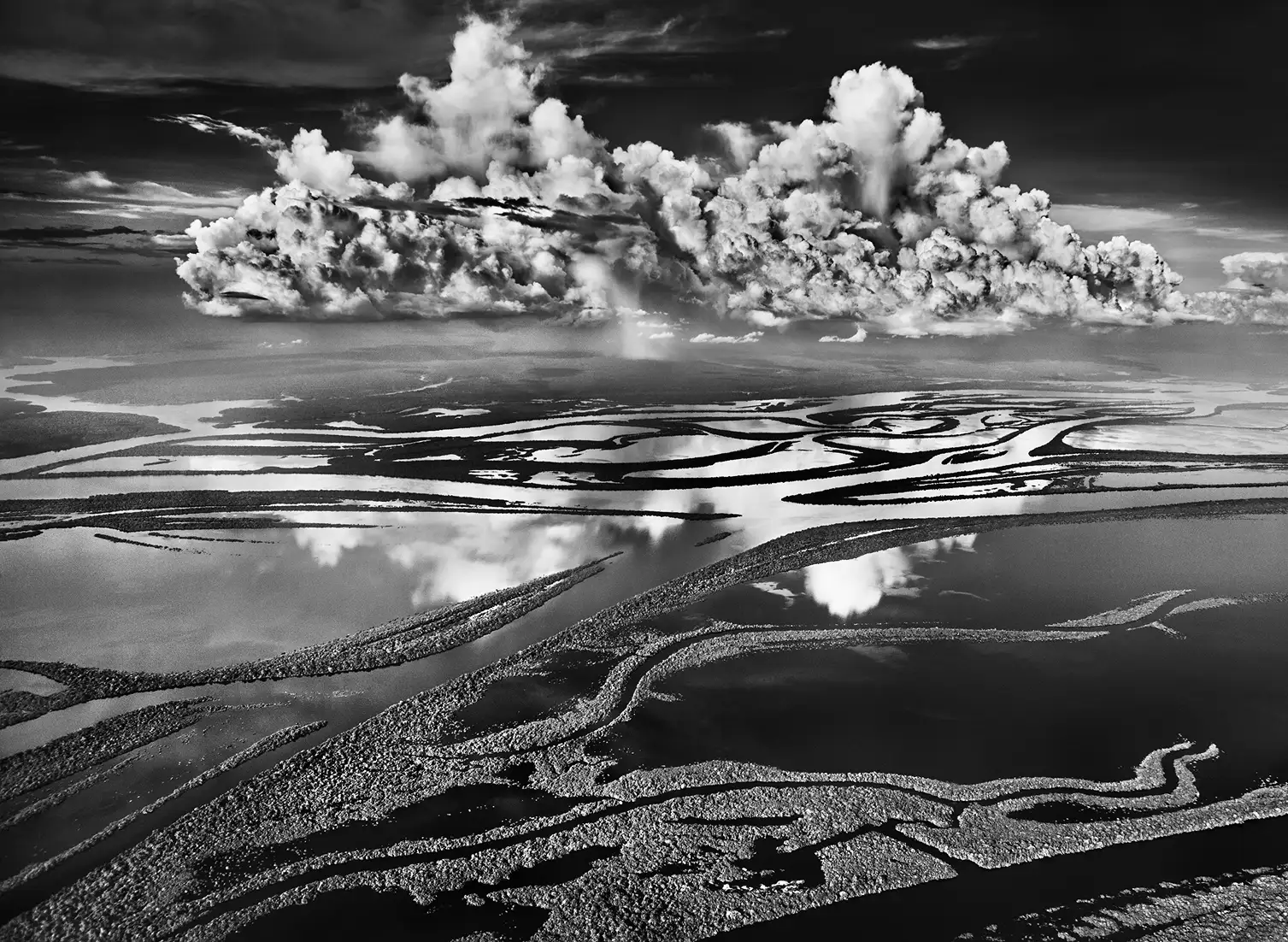 panorama from the nature of the amazonia
