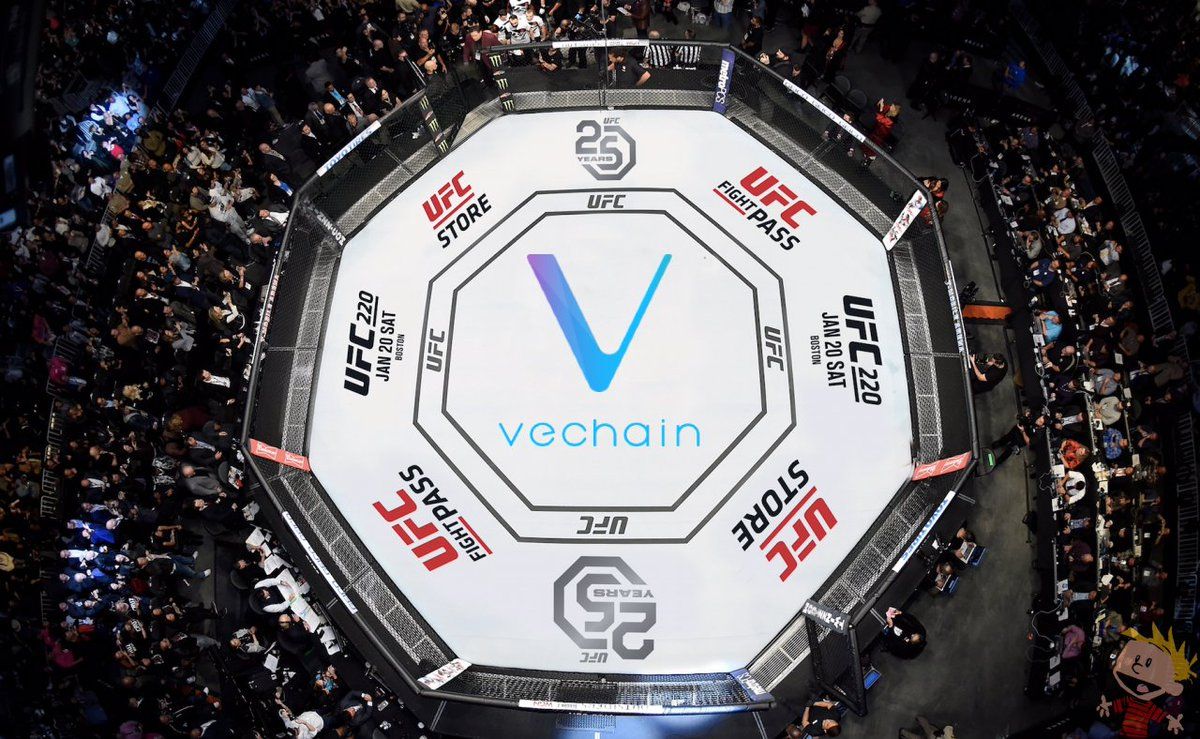 Top-down view of an octagonal UFC fighting ring with the VeChain logo and UFC 25 Years branding on the mat, surrounded by a crowd.