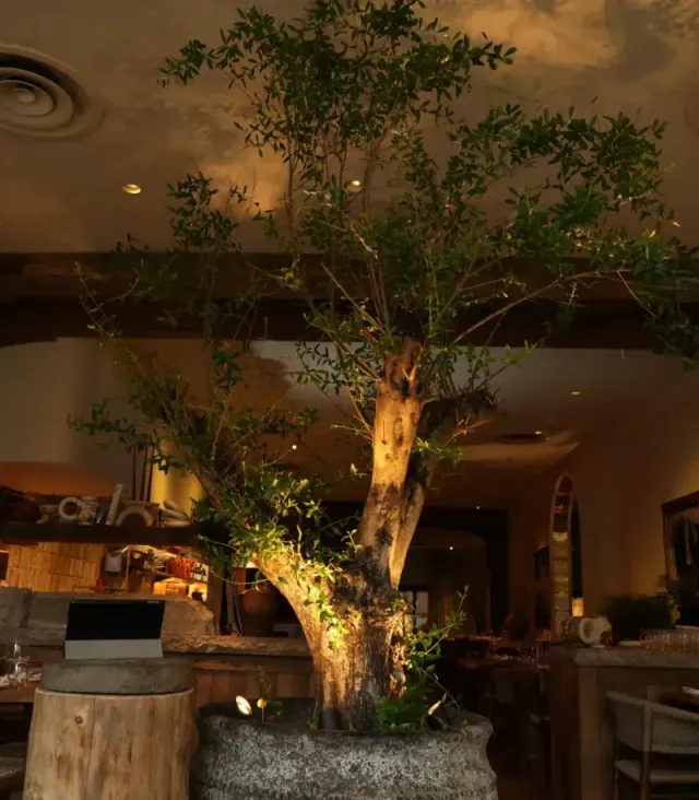 Interior of Tatar Bunar restaurant in Shoreditch