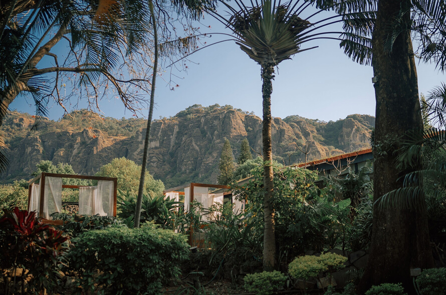 Jardín tropical con árboles y vegetación densa delante de una formación rocosa grande bajo un cielo azul claro.