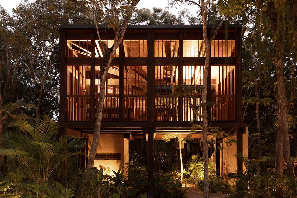 Casa elevada con estructura de madera y amplias ventanas iluminadas, rodeada de árboles y vegetación en un entorno natural.