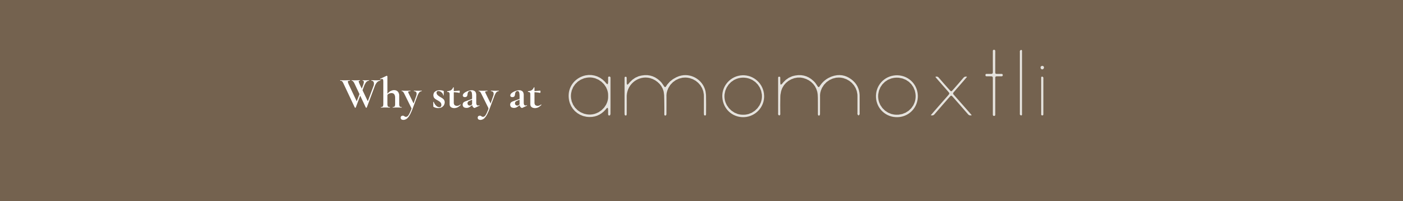 Texto "Por qué quedarse en amomoxtli" sobre fondo marrón.